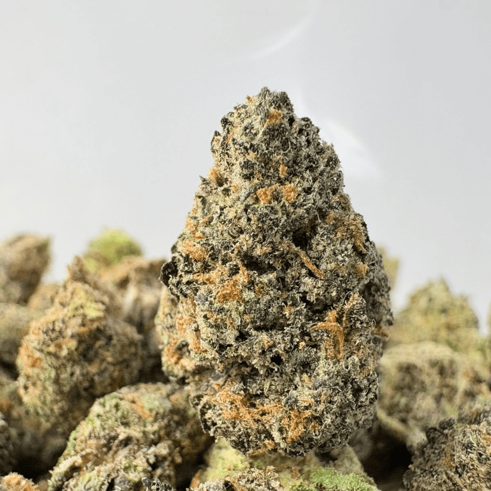 RUNTZLATO (SMALLS) - TRIP EXOTICS RUNTZLATO (SMALLS) - TRIP EXOTICS