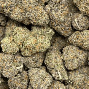 SOCAL RUNTZ (BIGS) - QUAD EXOTICS - Image 2