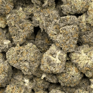 SOCAL RUNTZ (SMALLS) - QUAD EXOTICS - Image 2