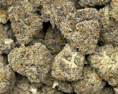 SOCAL RUNTZ (SMALLS) - QUAD EXOTICS - Image 2