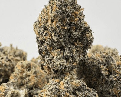 SOCAL RUNTZ (SMALLS) - QUAD EXOTICS