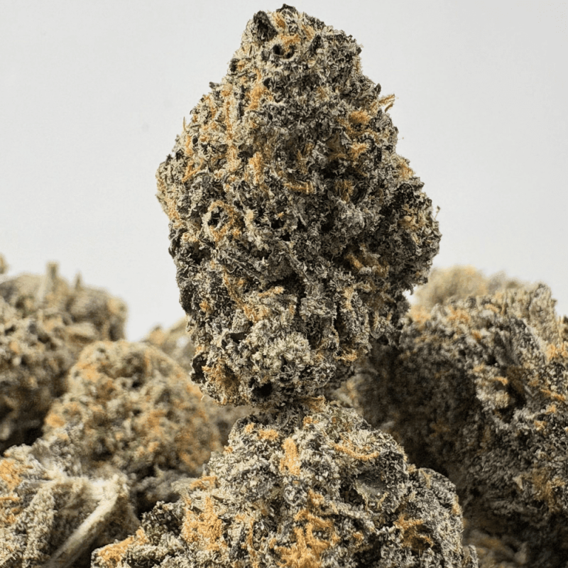 SOCAL RUNTZ (SMALLS) - QUAD EXOTICS