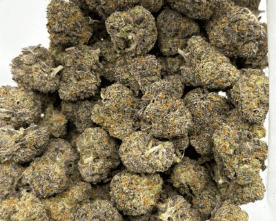 SOCAL RUNTZ (SMALLS) - QUAD EXOTICS - Image 3