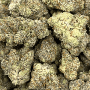 STRIPPER SPIT (BIGS) - QUAD EXOTICS - Image 2