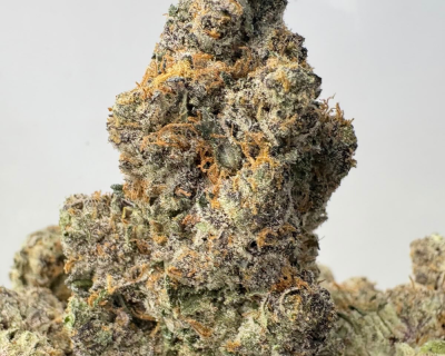 STRIPPER SPIT (BIGS) - QUAD EXOTICS