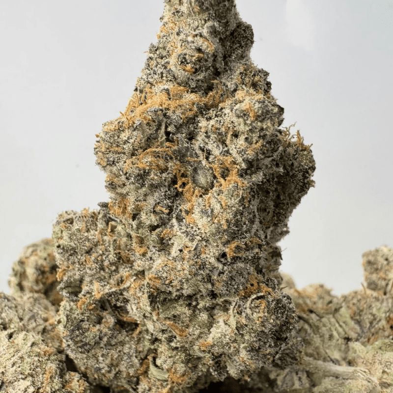 STRIPPER SPIT (BIGS) - QUAD EXOTICS STRIPPER SPIT (BIGS) - QUAD EXOTICS