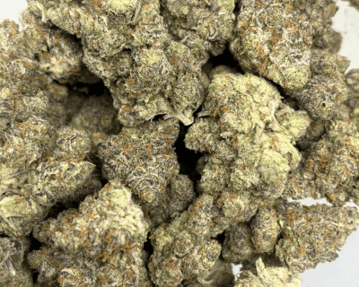 STRIPPER SPIT (BIGS) - QUAD EXOTICS - Image 3