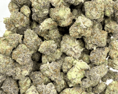 STRIPPER SPIT (SMALLS) - QUAD EXOTICS - Image 3