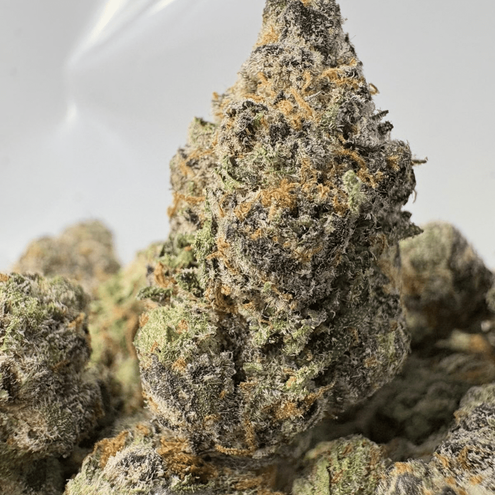 STRIPPER SPIT (SMALLS) - QUAD EXOTICS