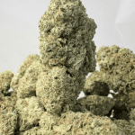 TROPICAL NECTAR (BIGS) - TRIP EXOTICS