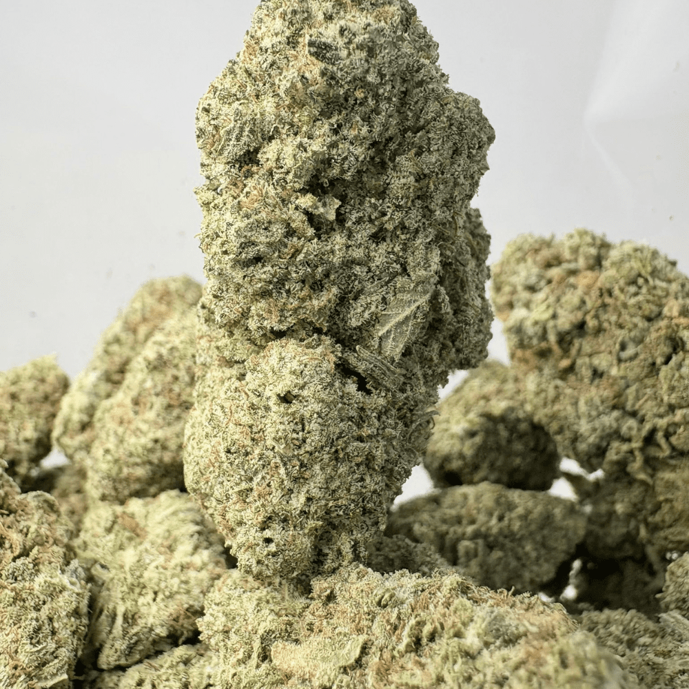 TROPICAL NECTAR (BIGS) - TRIP EXOTICS