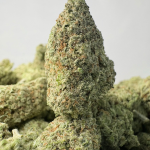 TROPICAL NECTAR (SMALLS) - TRIP EXOTICS