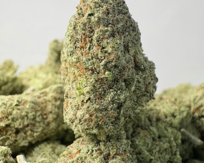 TROPICAL NECTAR (SMALLS) - TRIP EXOTICS
