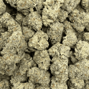 WIZARD FRITTER (BIGS) - QUAD EXOTICS - Image 2