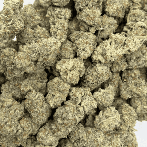 WIZARD FRITTER (BIGS) - QUAD EXOTICS - Image 3