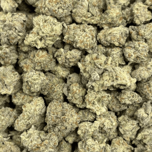 WIZARD FRITTER (SMALLS) - QUAD EXOTICS - Image 2