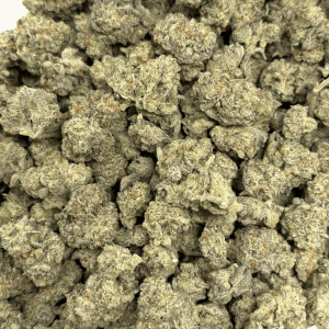 WIZARD FRITTER (SMALLS) - QUAD EXOTICS - Image 3