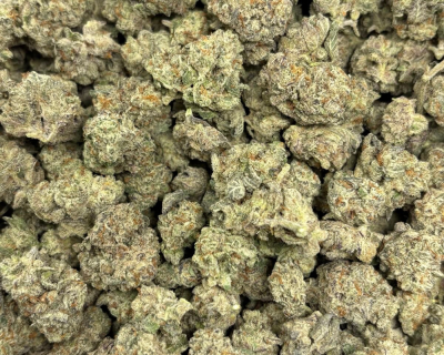 WIZARD FRITTER (SMALLS) - QUAD EXOTICS - Image 3