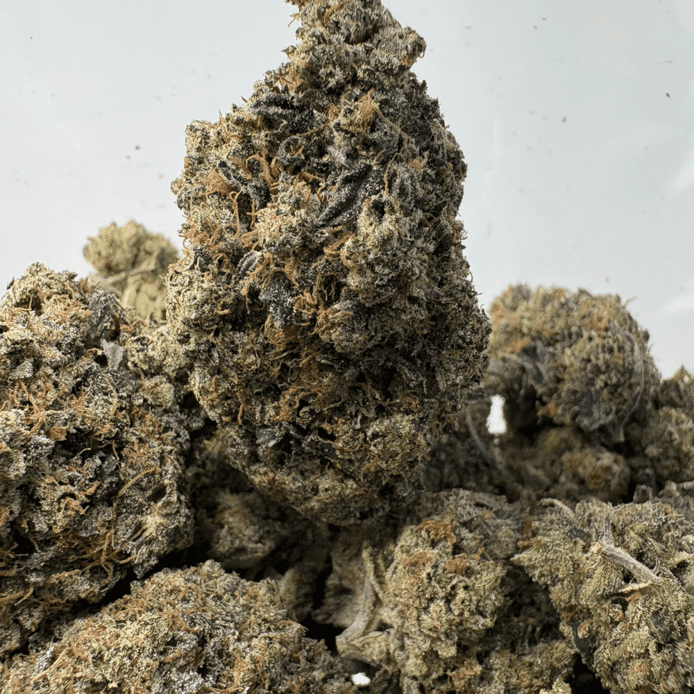 YOSHI'S PINK (BIGS) - QUAD GAS