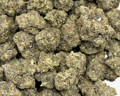 YOSHI'S PINK (BIGS) - QUAD GAS - Image 3