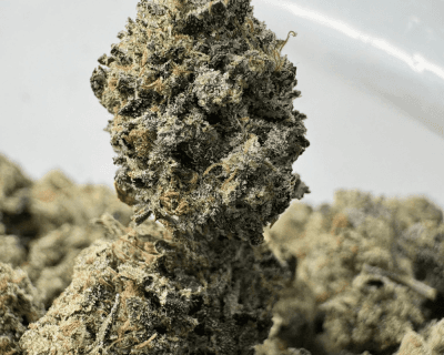 YOSHI'S PINK (SMALLS) - QUAD GAS