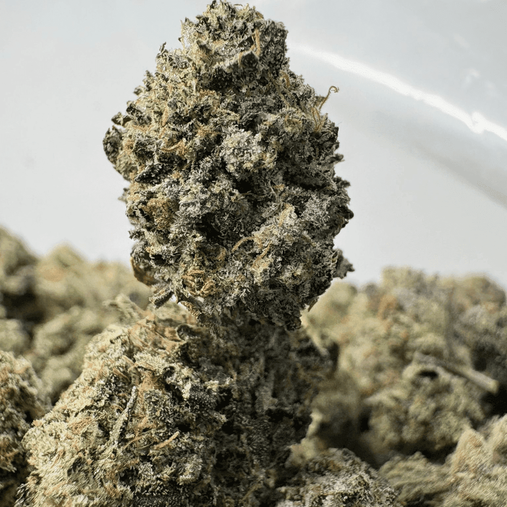 YOSHI'S PINK (SMALLS) - QUAD GAS