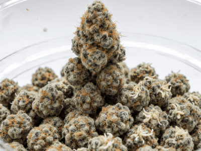 Pink Kush smalls