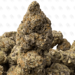 ALIEN COOKIE (TRIP EXOTICS)