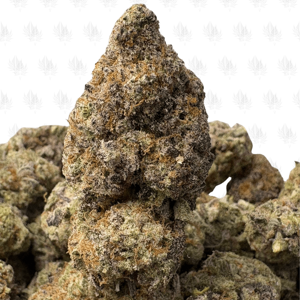 ALIEN COOKIE (TRIP EXOTICS) ALIEN COOKIE (TRIP EXOTICS)