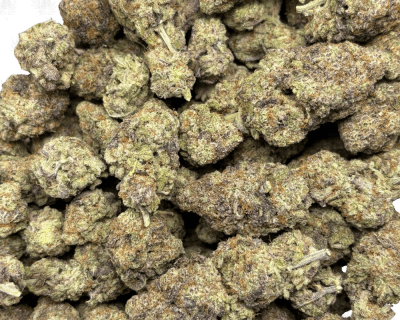 ALIEN COOKIE (TRIP EXOTICS) - Image 3