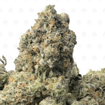BLACK OPS MK ULTRA (BIGS) - QUAD GAS