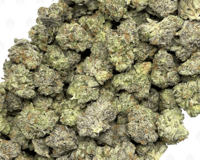 BLACK OPS MK ULTRA (SMALLS) - QUAD GAS - Image 3