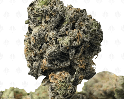 BLACK OPS MK ULTRA (SMALLS) - QUAD GAS