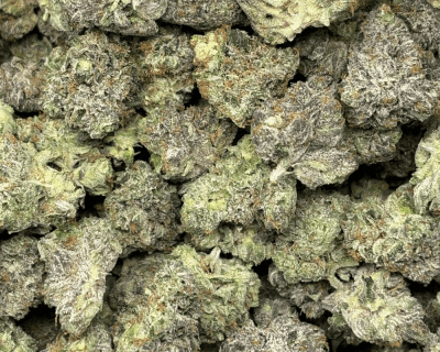 BLACK OPS MK ULTRA (SMALLS) - QUAD GAS - Image 2