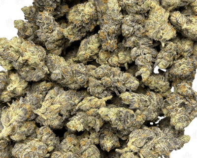 BLUE MOONSHINE (BIGS) - QUAD EXOTICS - Image 3