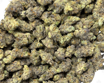 BLUE MOONSHINE (SMALLS) - QUAD EXOTICS - Image 3