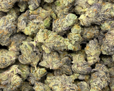 BLUE MOONSHINE (SMALLS) - QUAD EXOTICS - Image 2