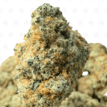 CAKE BATTER (SMALLS) - TRIP EXOTICS