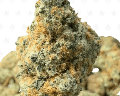 CAKE BATTER (SMALLS) - TRIP EXOTICS