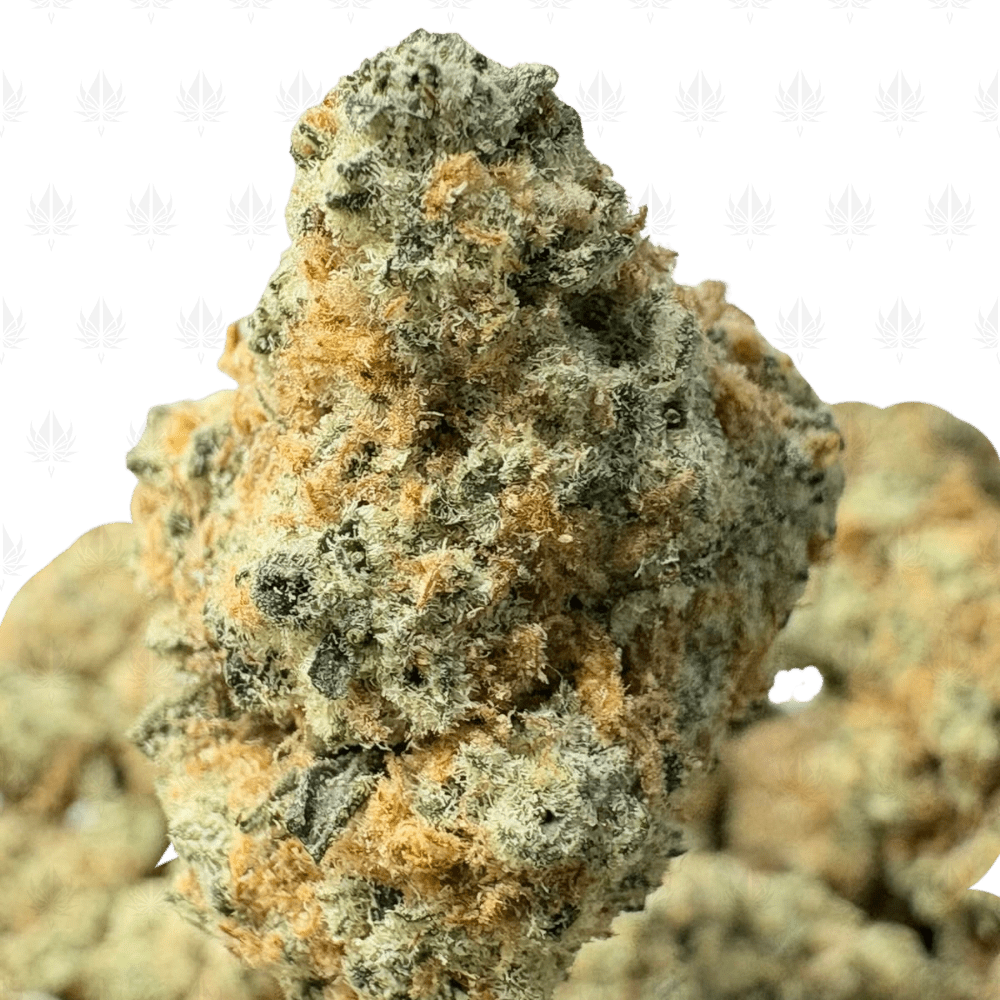 CAKE BATTER (SMALLS) - TRIP EXOTICS CAKE BATTER (SMALLS) - TRIP EXOTICS