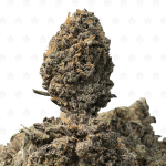 CANDY RUNTZ (TRIP EXOTICS)