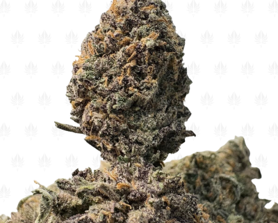 CANDY RUNTZ (TRIP EXOTICS)