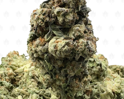 CHEMDAWG (LOWS)