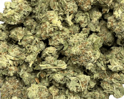 CHEMDAWG (LOWS) - Image 3