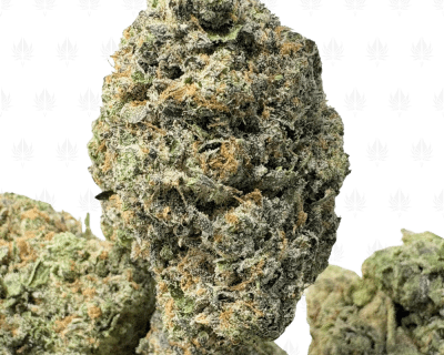 DEATH GAS (BIGS) - QUAD GAS