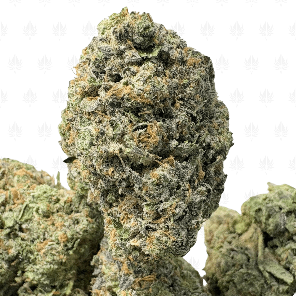 DEATH GAS (BIGS) - QUAD GAS DEATH GAS (BIGS) - QUAD GAS