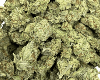 DIESEL (LOWS) - Image 3