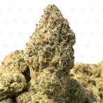 DONKEY BUTTER (TRIP EXOTICS)