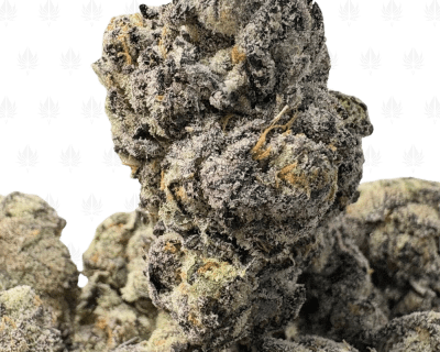 FRUITOPIA RUNTZ LSO (LSO EXOTICS)