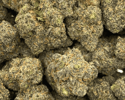 GELATO #44 - 3.5 GRAMS - Image 2